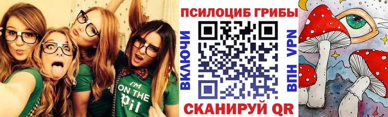 хочу   Новокубанск  Псилоцибиновые грибы Psilocybine cubensis 